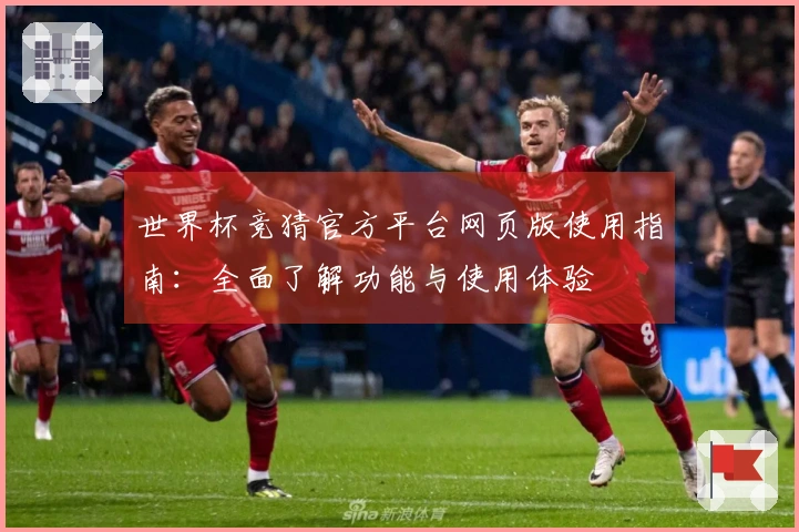 世界杯竞猜官方平台网页版使用指南：全面了解功能与使用体验