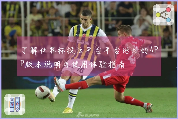 了解世界杯投注平台平台地址的APP版本说明与使用体验指南