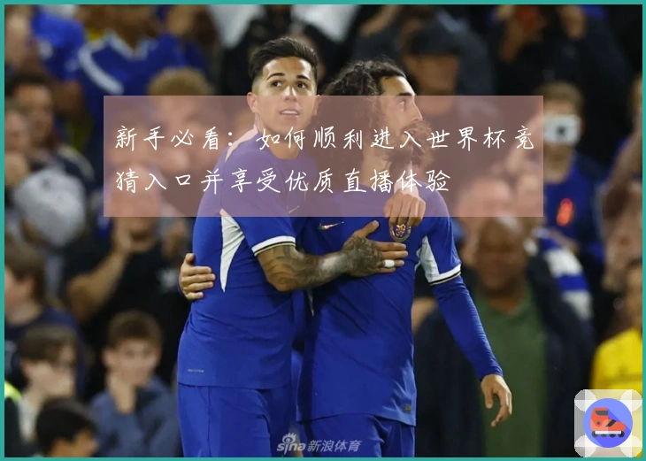 新手必看：如何顺利进入世界杯竞猜入口并享受优质直播体验
