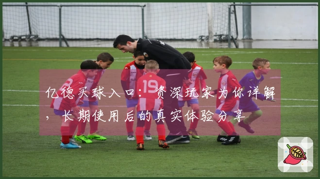 亿德买球入口：资深玩家为你详解，长期使用后的真实体验分享