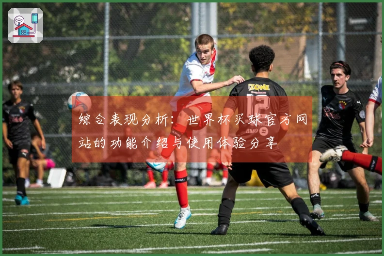 综合表现分析：世界杯买球官方网站的功能介绍与使用体验分享