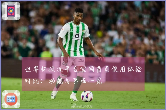 世界杯投注平台官网首页使用体验对比：功能与界面一览