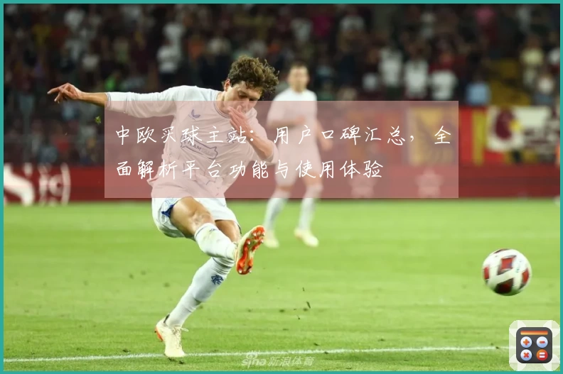 中欧买球主站：用户口碑汇总，全面解析平台功能与使用体验