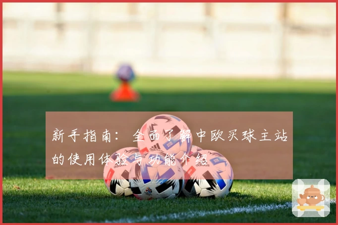 新手指南:全面了解中欧买球主站的使用体验与功能介绍