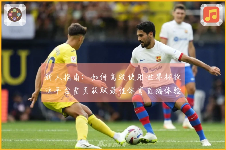 新人指南：如何高效使用世界杯投注平台首页获取最佳体育直播体验