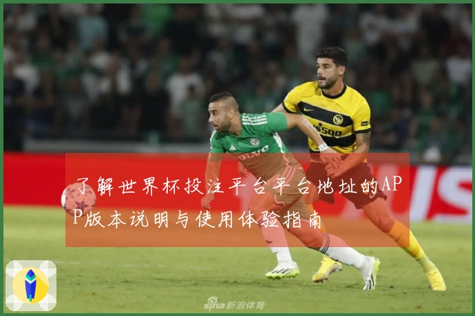 了解世界杯投注平台平台地址的APP版本说明与使用体验指南