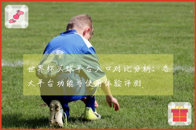 世界杯买球平台入口对比分析：各大平台功能与使用体验评测