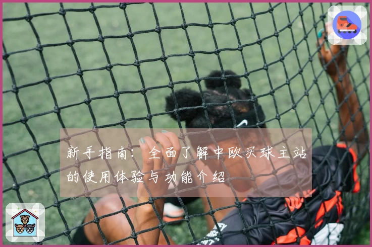 新手指南：全面了解中欧买球主站的使用体验与功能介绍