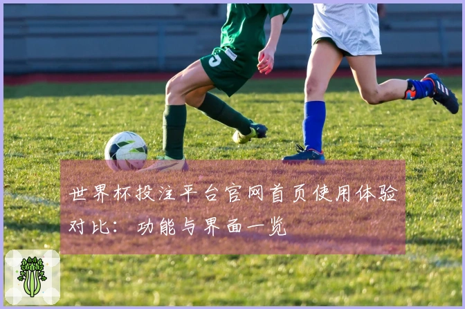 世界杯投注平台官网首页使用体验对比：功能与界面一览