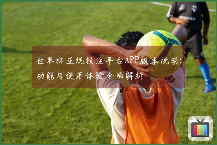 世界杯正规投注平台APP版本说明：功能与使用体验全面解析
