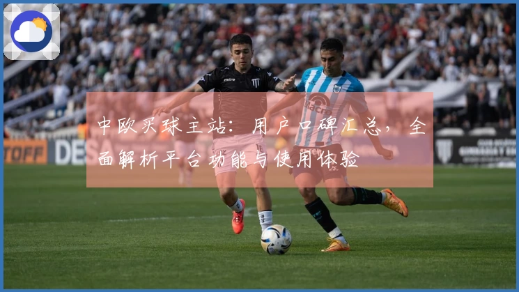 中欧买球主站：用户口碑汇总，全面解析平台功能与使用体验