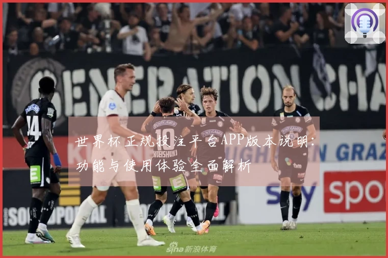 世界杯正规投注平台APP版本说明：功能与使用体验全面解析